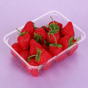 Disposable Blister Fresh Fruit Packaging Tray